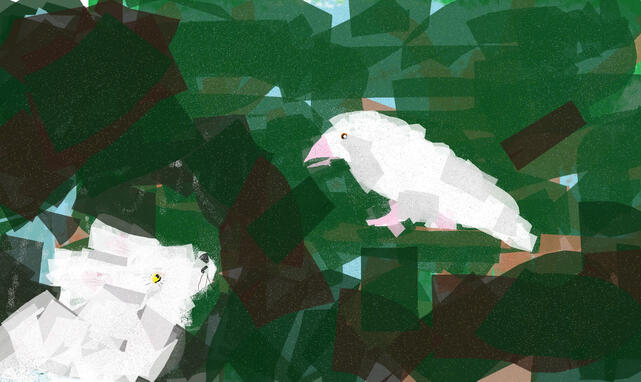 a white wolf (may, a werewolf) with yellow eyes looks up at a white raven (skalva, a shapeshifter) with orange eyes, pink beak, & pink talons. the forest behind them is a mix of browns and greens in varying shades. the whole scene sparkles.